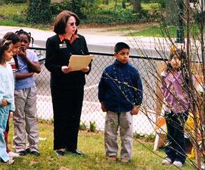Students and Ann Healey finish planting a tree on Riverdale Elementary's grounds, April, 2003
